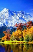 Без бренда «Осенний лес и вид на горы» в Воронеже