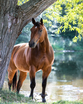 Без бренда «2KMB-4594» в Воронеже