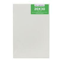 Без бренда «Коробка 80 шт.: Холст Две картинки на подрамнике 20X30» в Воронеже