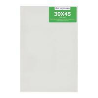 Без бренда «Коробка 40 шт.: Холст Две картинки на подрамнике 30X45» в Воронеже