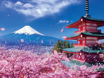 Без бренда «BOX20-2KSB-7277» в Воронеже