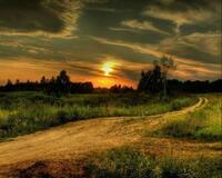 Без бренда «Проселочная дорога на закате» в Воронеже