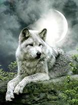 Без бренда «Коробка 25 шт. картин по номерам BOX25-GX21058» в Воронеже