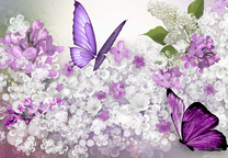 Коробка 25 шт. картин по номерам BOX25-GX37228