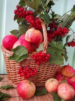 Без бренда «Коробка 25 шт. картин по номерам BOX25-GX5174» в Воронеже