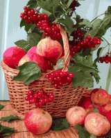 Без бренда «Плетёная корзина с калиной и яблоками» в Воронеже