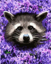 Енот в сирени