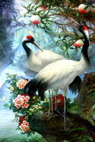 Без бренда «Коробка 25 шт. картин по номерам BOX25-GX29399» в Воронеже в интернет-магазине  Без бренда «Коробка 25 шт. картин по номерам BOX25-GX29399» в Воронеже