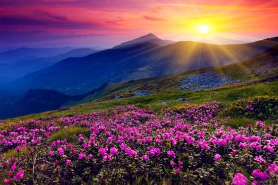 Картина по номерам 40x50 Закат солнца над цветущими горами